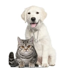 代码生成 以太坊钱包