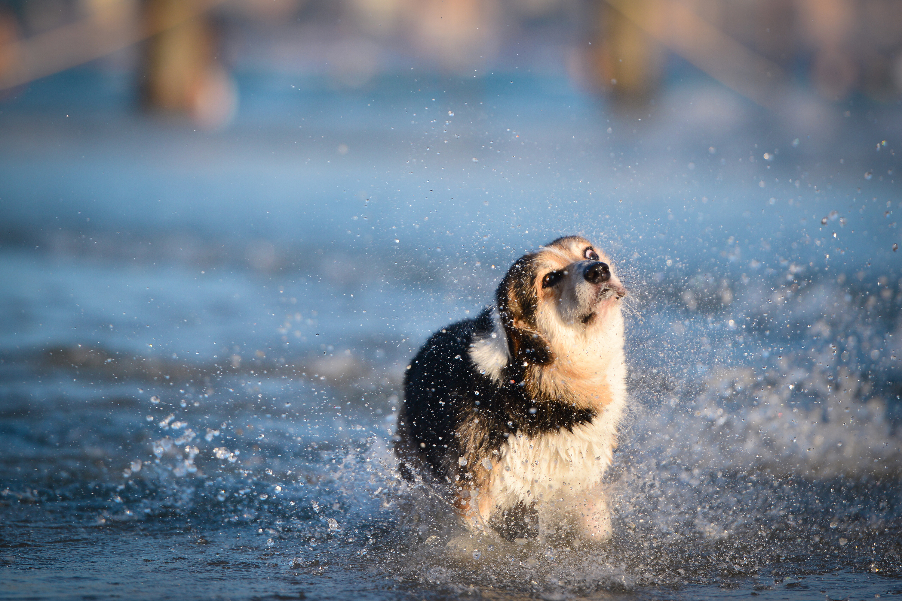 麦子钱包与以太坊钱包