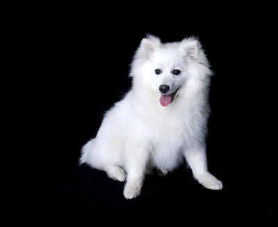 以太坊钱包钱没有了怎么办